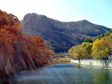 新澳门二四六天天彩，山西煤价